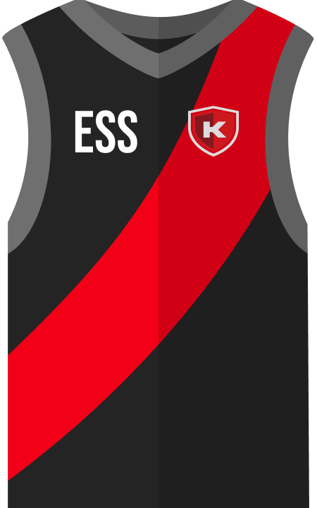 Essendon logo