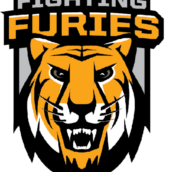 Fighting Furies logo
