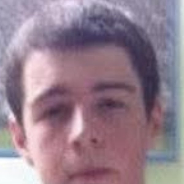 The Gulden Sicilian logo