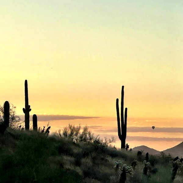 Arizona Trotters logo