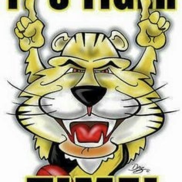 Teenage Tiger Time logo