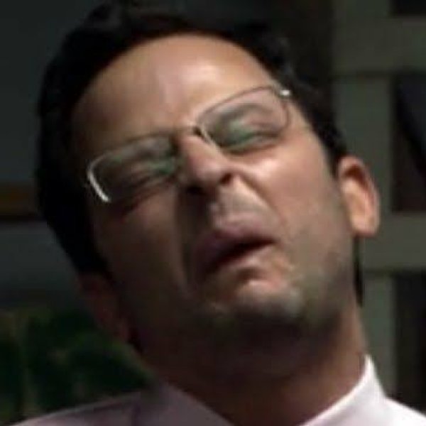 Vinegar Strokes logo
