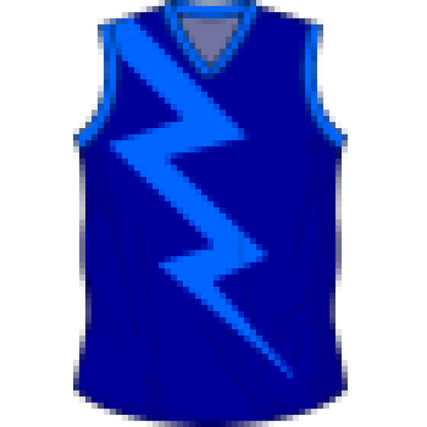 Albury Lightning logo